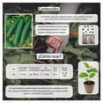 thumbnail image 3 of Semillas Pepino Vita, 3 of 5