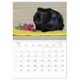 thumbnail image 5 of Guinea pig. Beloved rodents (Monthly Wall Calendar 2026 11.7 x 16.5 (open)), CALVENDO 14 Month Calendar, 5 of 9