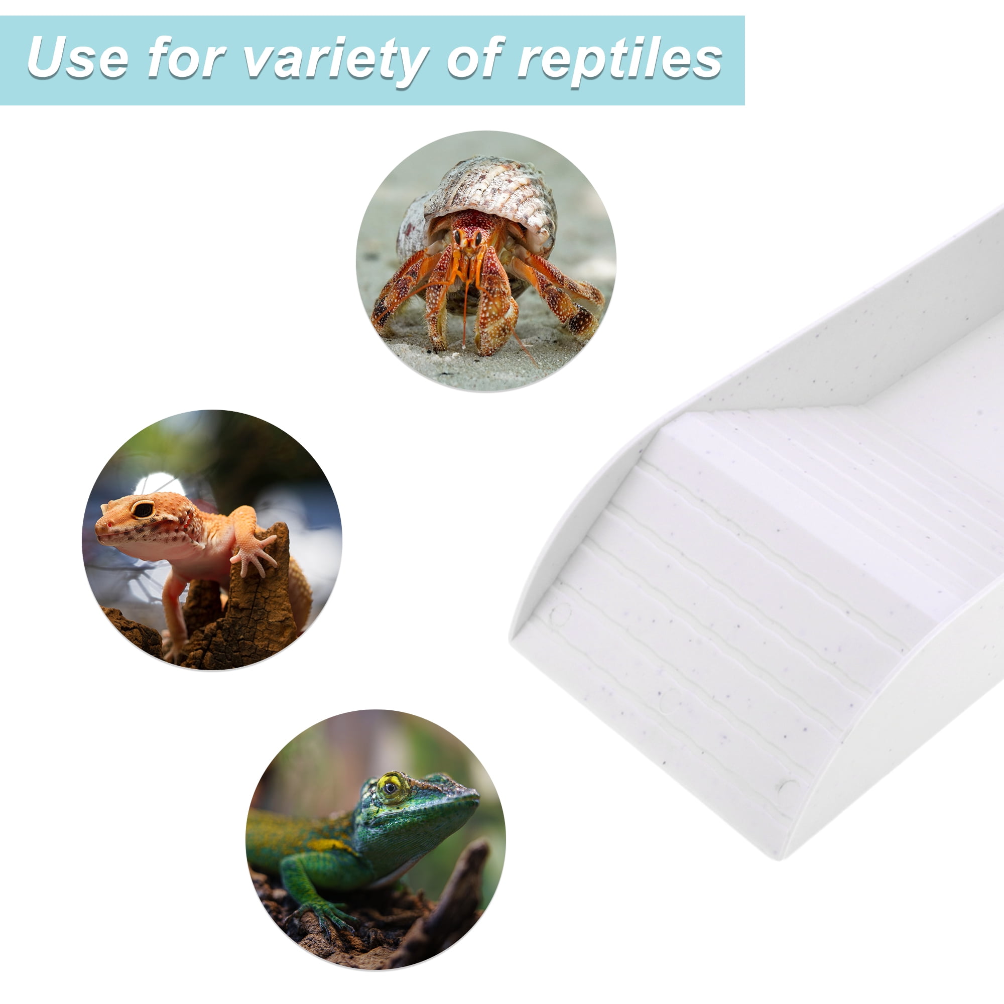Unique Bargains Tortoise Food Dish with Ramp Plastic Reptile Water Bowl Reptile Climbing Ramp for Turtles Lizards White Large
