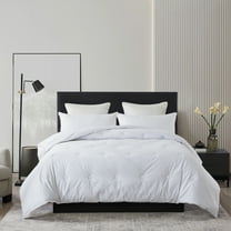 Royal Velvet Tufted Down Alternative Comforter Full - Queen - White