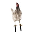 thumbnail image 2 of Estaca de gallo Strade Fareast Limited adorno de césped para gallina Estilo E, 2 of 8