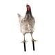 thumbnail image 2 of Estatua de gallo para jardín, porche, patio, gallina, adorno para césped Estilo E, 2 of 9
