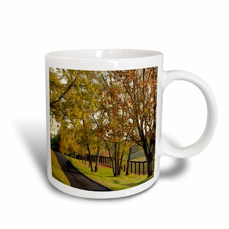3dRose Autumn road, Bluegrass region, Lexington, Kentucky - US18 AJE0392 - Adam Jones, Ceramic Mug, 15-ounce