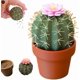 thumbnail image 2 of Copa para condimentos con forma de cactus y escritorio con saleros y pimenteros con flores suculentas, 2 of 8