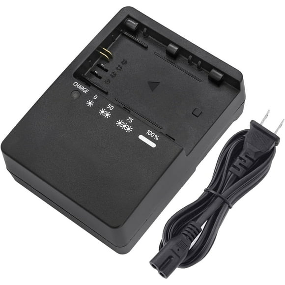 Chargeur Rapide de Batterie LC-E6 LP-E6N pour Canon EOS R R5 R6 5D Mark II IV 5DS 5DS R 6D 6Da 7D 7D Mark II 60D 70D 80D 90D Caméras