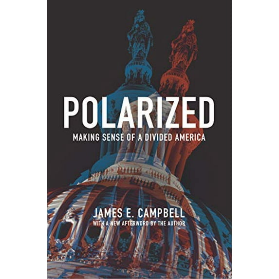 Pre-Owned Polarized: Making Sense of a Divided America (Paperback) 0691180865 9780691180861