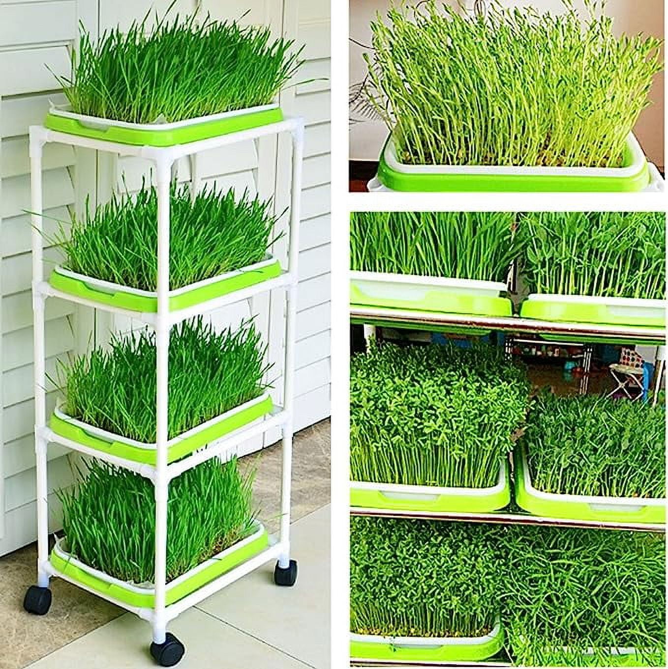Tutuviw Set of 5 Garden Seed Sprouter Tray BPA Free PP Soil-Free Big Capacity Healthy Wheatgrass Grower with Lid Sprouting 13x9.5x1.8inches