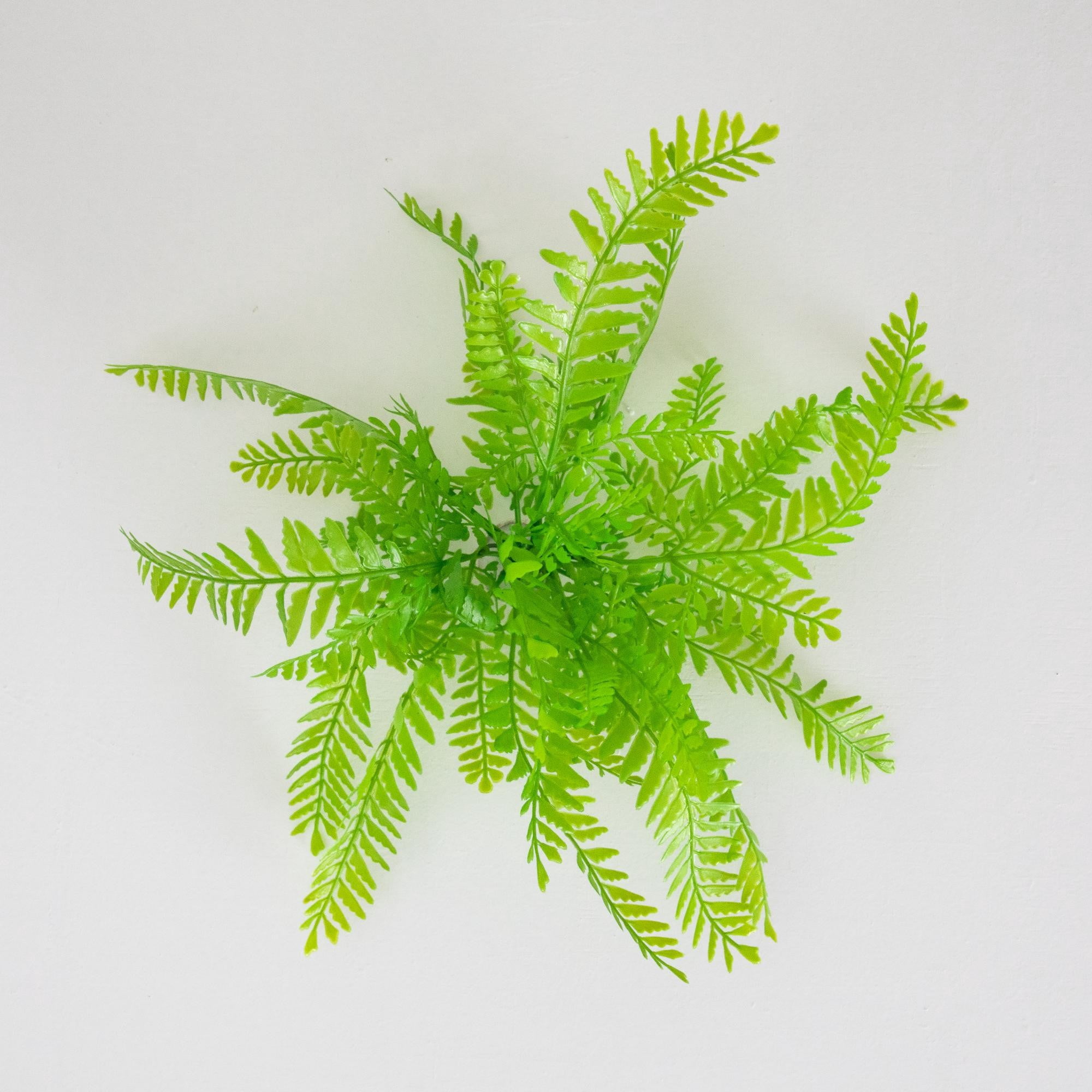17in. UV Resistant Artificial Vibrant Fern Bush (Indoor/Outdoor) - Set of 6
