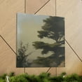 thumbnail image 6 of Cedar Tree Majesty. - Canvas, 6 of 10