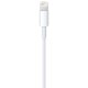 thumbnail image 3 of Adaptador de Corriente USB Apple de 5 W + Cable Lightning a USB de Apple (Reacondicionado), 3 of 4