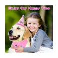 thumbnail image 5 of Conjunto de gorro de cumpleaños para bufanda para mascotas, bufanda para gorro de fiesta para perros, regalo de cumpleaños ideal para mascotas (1 pieza, rosa), 5 of 5
