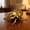 Gold, variant on Realistic Interactive Insect Toy – Wind-Up Beetle for Educational Play,Green