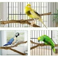 thumbnail image 3 of Percha natural para loros, soporte para pájaros, palo de uva salvaje, garra para afilar, tenedor, juguetes para pájaros, juego combinado de palo de pie, horquilla para pequeños periquitos, loros, agapornis JM, 3 of 5