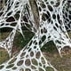 thumbnail image 2 of Populares Giant Web Halloween Decorations Outdoor, Stretchy Web For Halloween Party, Web Halloween Indoor Outdoor Decor For Haunted House, 2 of 5