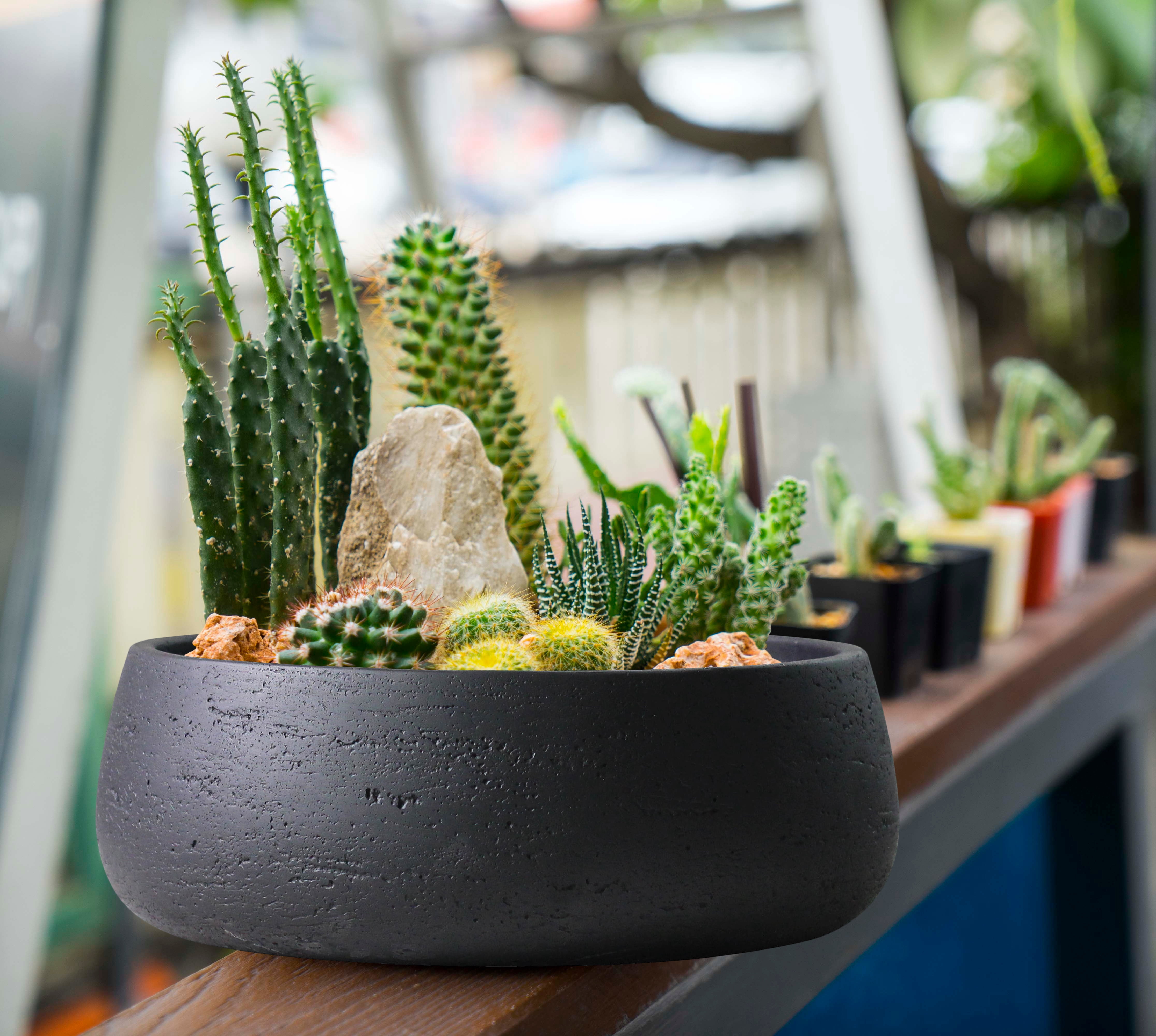 Olly & Rose Large Ceramic Planter Bowl in Matt Black - Shallow Plant Pot Indoor Outdoor Decorative Bowl