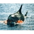 thumbnail image 3 of Jaws (DVD + Digital Copy) [DVD], 3 of 4