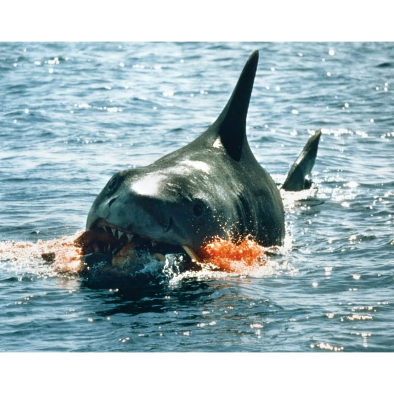 Jaws (DVD + Digital Copy) [DVD] - Walmart.com