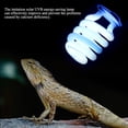 thumbnail image 4 of Bombilla Reptil Desierto E27 26W Terrario UVB Calcio ANGGREK  Otros, 4 of 8