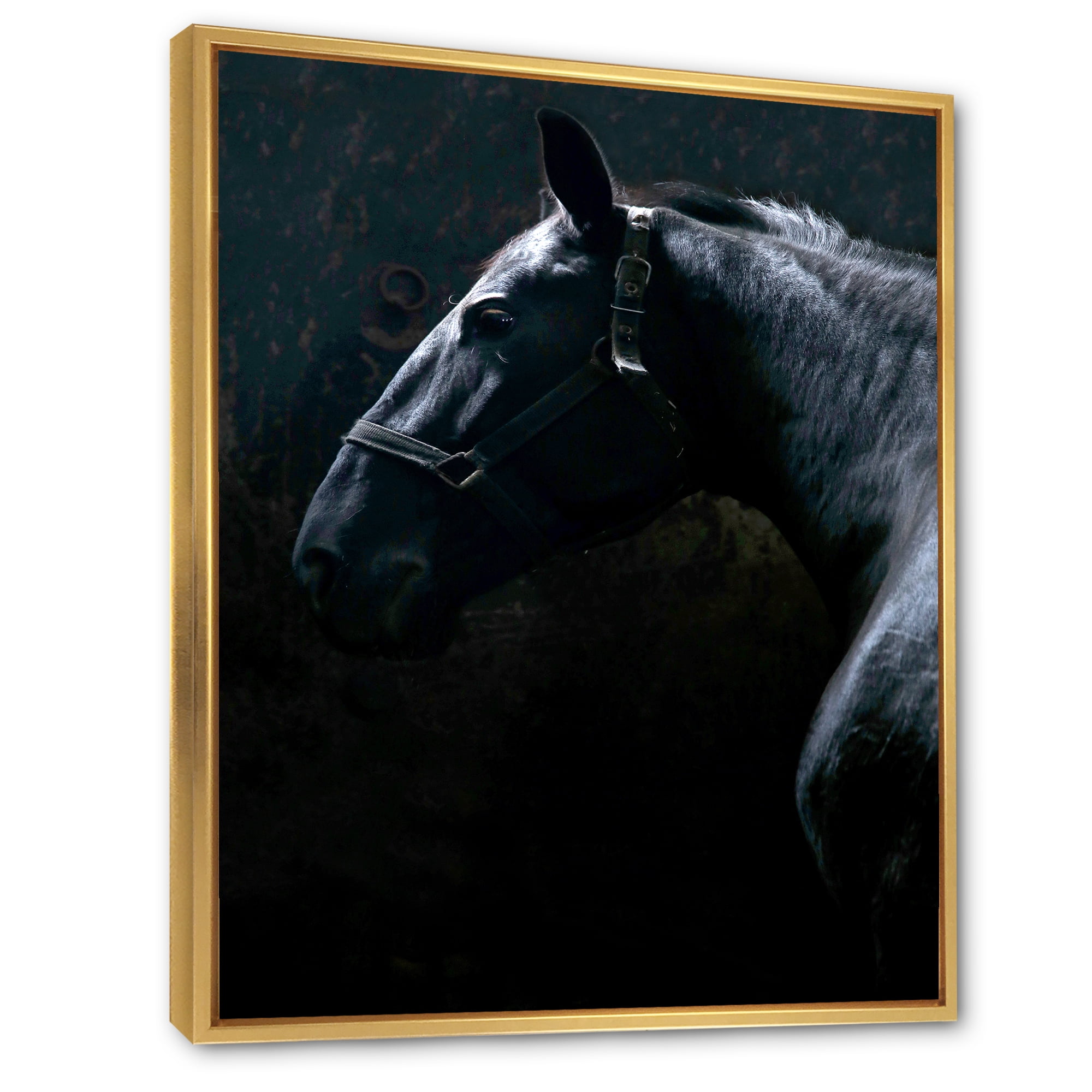 Designart 'Close Up Of Thoroughbred Nonius Stallion Horse II' Farmhouse Framed Canvas Wall Art Print