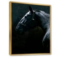 thumbnail image 3 of Designart 'Close Up Of Thoroughbred Nonius Stallion Horse II' Farmhouse Framed Canvas Wall Art Print, 3 of 5