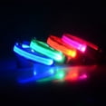 thumbnail image 3 of Collier pour Chien Éclairé à LED, 3 of 4