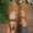 Coffee, variant on Womens T Strap Shoes Round Toe Pull-On Flat Summer Lightweight Breathable