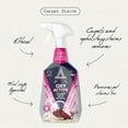 thumbnail image 3 of Astonish Specialist Carpet, Chair & Upholstery Deep Cleaning Fabric Spray - Lotus Flower Scented Stain & Odor Eliminator - Cruelty Free Essential Household Cleaning Supplies, 750ml Recyclable Bottle, 3 of 7
