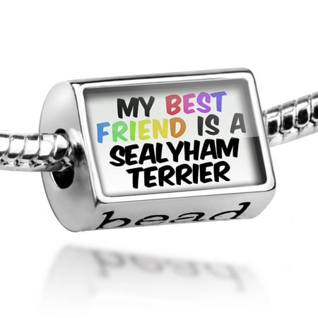 Bead My best Friend a Sealyham Terrier Dog from Wales Charm Fits All European