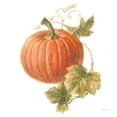 thumbnail image 2 of Nai, Danhui 26x26 Gold Ornate Wood Framed with Double Matting Museum Art Print Titled - Floursack Autumn VIII on White, 2 of 4