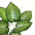 thumbnail image 3 of Artificial Plant Unpotted Realistic: Plastic Fake Tropical Plant Home Decoration, 3 of 10
