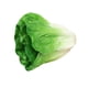 thumbnail image 4 of Vegetal artificial realista, simulación decorativa, exhibición de vegetales. Lechuga, 4 of 9
