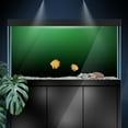 thumbnail image 3 of Green Black Gradient Aquarium Background Stickers - Fish Tank Reptile Terrarium Decor (Multiple sizes), 3 of 5