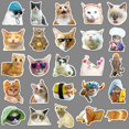 thumbnail image 4 of 50 paquetes de expresiones para gatos, 4 of 4