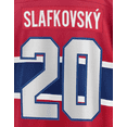 thumbnail image 5 of Camisetas de hockey sobre hielo de Montreal 2025 con bordados para hombres, mujeres y jóvenes personalizadas #20 Slafkovsky #31 PRECIO #14 SUZUKI S, 5 of 5