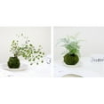 thumbnail image 5 of Moss Ball Flower Pot, 6 Inch Bird Nest Shape Moss Ball Planter, Green Bonsai Plant Holder, Japanese Style Natural Planter, Moss Weave Garden Decor Flower Holder, Moss Ball Planter, 5 of 8