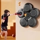 thumbnail image 1 of Smart Music Boxing Machine Wall Mounted Electronic Boxing Pad Kids/adults Boxing Workout Machine, 1 of 4