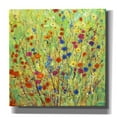 thumbnail image 1 of Epic Graffiti 'Wildflower Patch II' by Tim O'Toole, Canvas Wall Art, 37"x37", 1 of 2