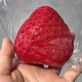 thumbnail image 4 of Lindo Recinto Fresa Toy Kawaii Squishies PVC Sensory Stress Alivio () Rojo, 4 of 5