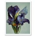 thumbnail image 1 of Iris Floral Modern Watercolour Art Print Framed Poster Wall Decor 12x16 inch, 1 of 5