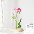 thumbnail image 4 of FTCBJJA Eternal Pink Rose in Glass Dome with LED Lights, Artificial Flower Decor, Romantic Gift for Women, Anniversary Birthday Valentines Mothers Day, 4 of 6