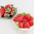thumbnail image 3 of Coofit Artificiel Fruits Décoratifs Mini 40PCS Plastique Faux Fraise Photo Prop, 3 of 10