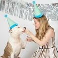 thumbnail image 7 of BARK Stuffed Plush Tug Dog Toy - The Party Farter, 7 of 7