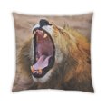 thumbnail image 2 of Ahgly Company Animals Lion Oreiller Extérieur 18 Pouces par 18 Pouces, 2 of 6