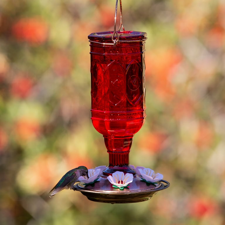 More Birds Red Jewel Glass Bottle Hummingbird Feeder, 20 oz Nectar