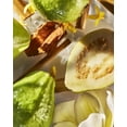 thumbnail image 4 of Perfume Roja Parfums Isola Verde Eau de Parfum para mujer, 50 ml, 4 of 4