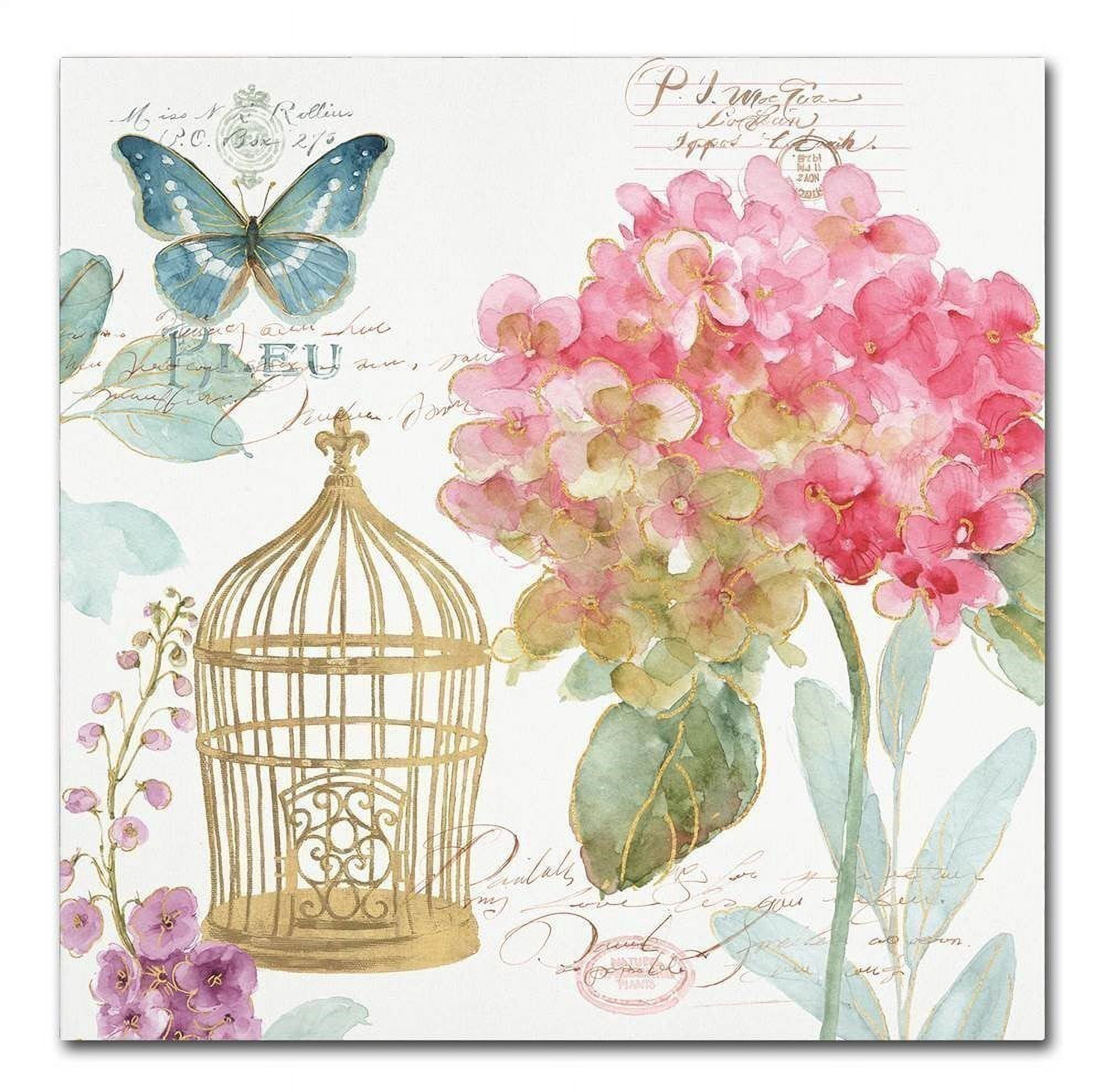 Trademark Fine Art "Rainbow Seeds Floral Birdcage II" Canvas Art by Lisa Audit