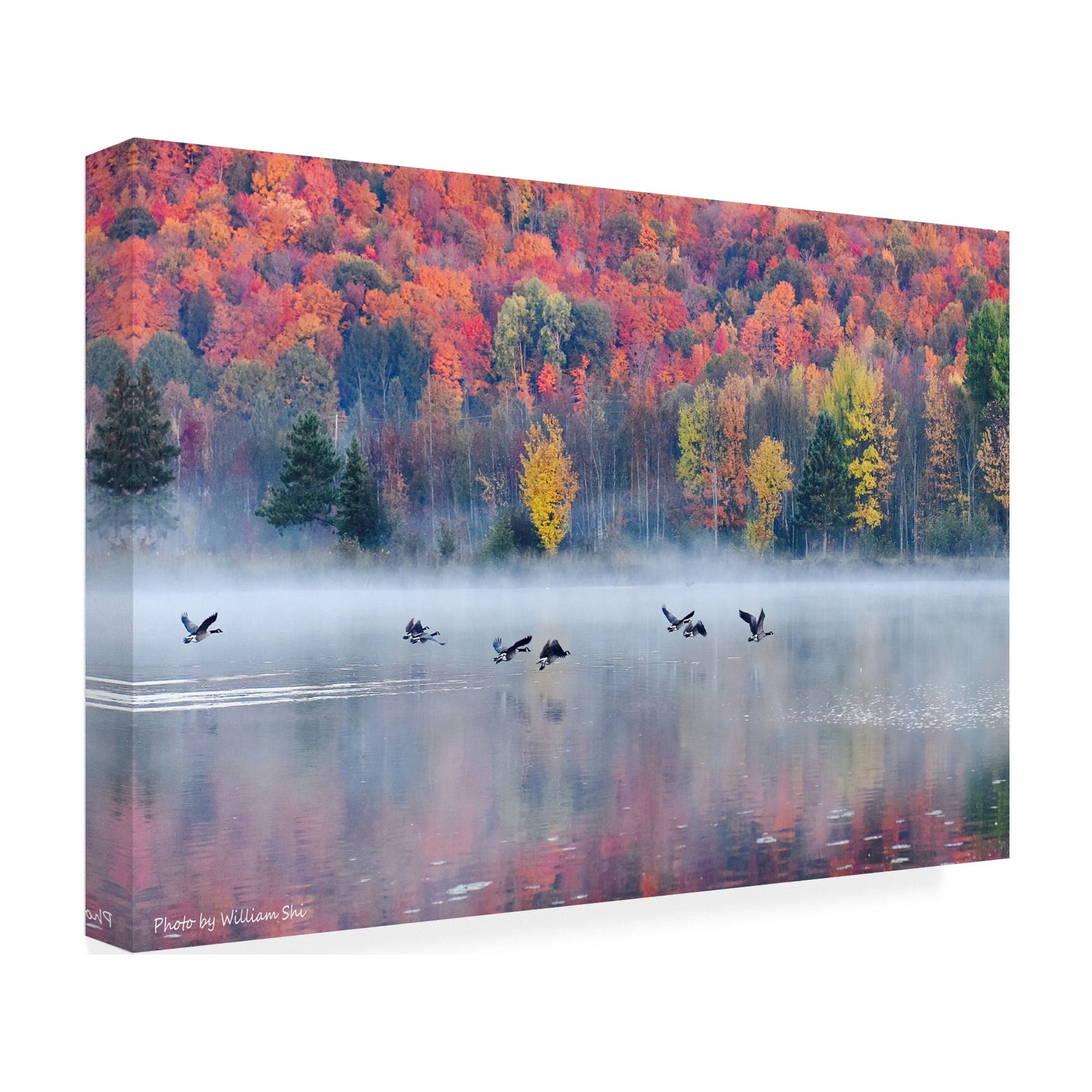 William Shi ( 'Autumn' Canvas Art