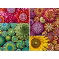 thumbnail image 1 of Rompecabezas Ravensburger Colorea tu mundo con flores de mandala, 1 of 7
