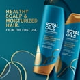 thumbnail image 3 of Royal Oils by Head & Shoulders Sulfate Free Scalp Care Shampoo and Moisture Renewal, All Hair Types, 12.8/13.5 fl oz, 3 of 8