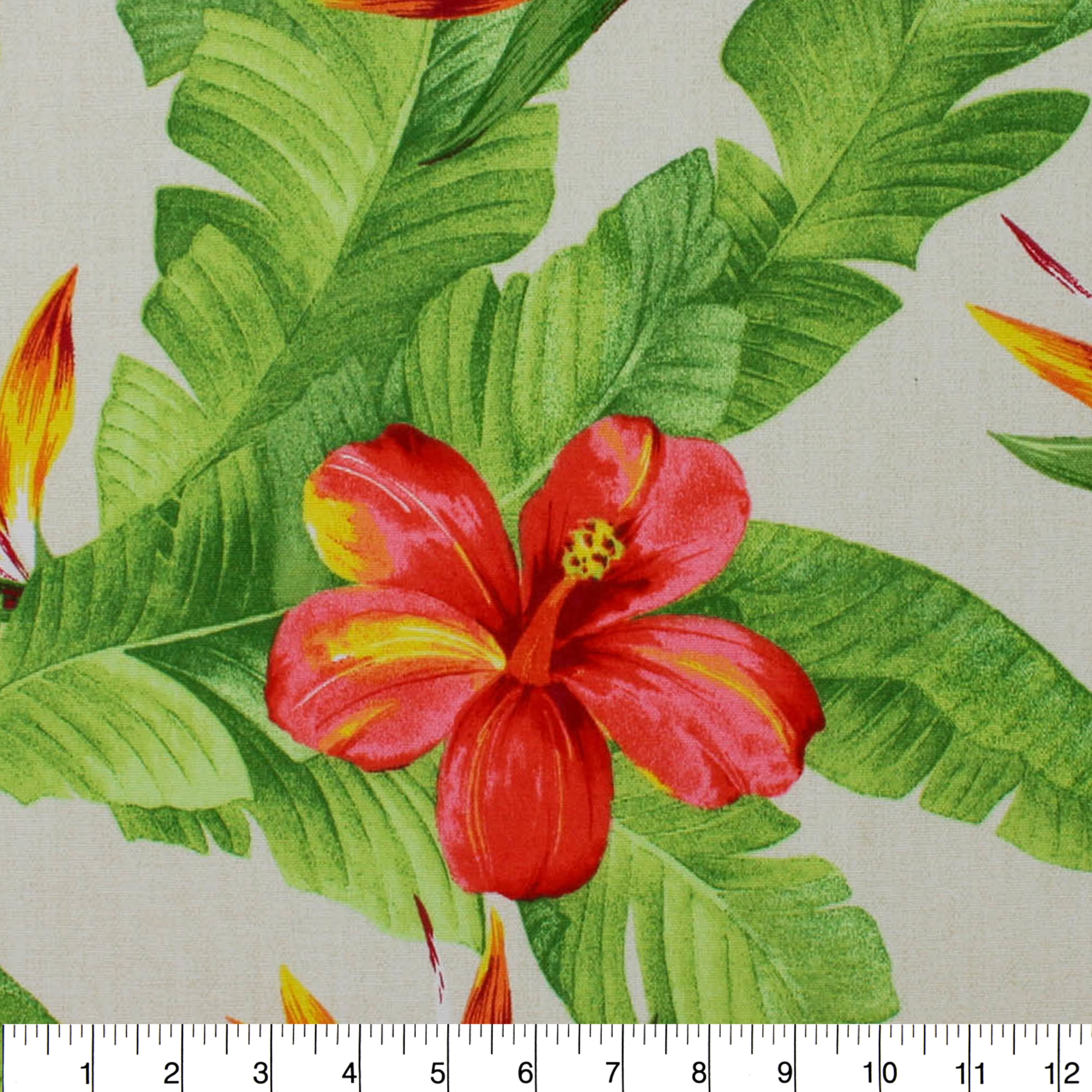 Berkshire Home 100% Polyester 54" Indoor/Outdoor Monsoon Ivory Fabric, by the Yard